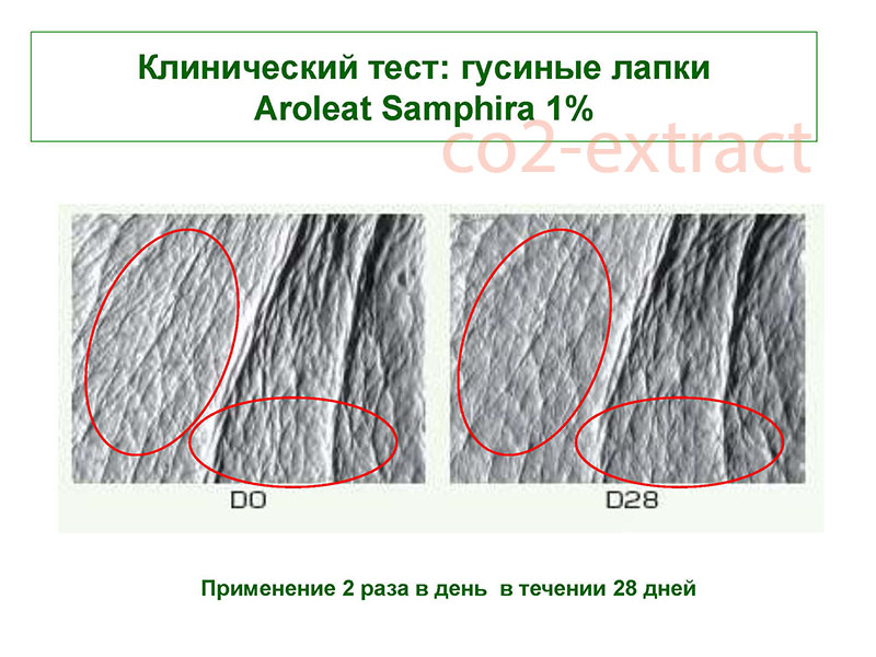 aroleat