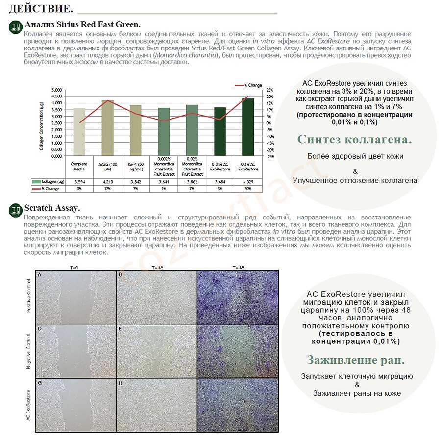  ekzosom  ekzosom  ekzosom