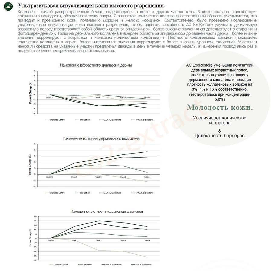  ekzosom  ekzosom  ekzosom