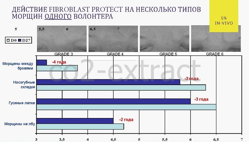 fibroblast protect
