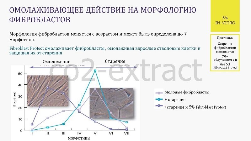 fibroblast protect