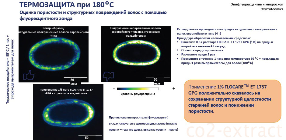 ������-������ ��2 �������� 