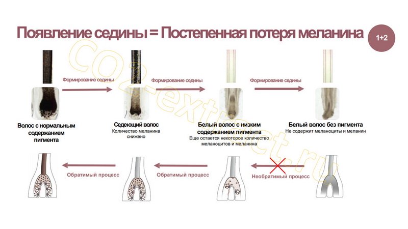 ������-������ ��2 �������� 