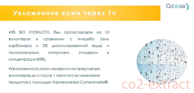 MK 5 2020