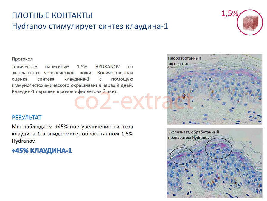 hydranov