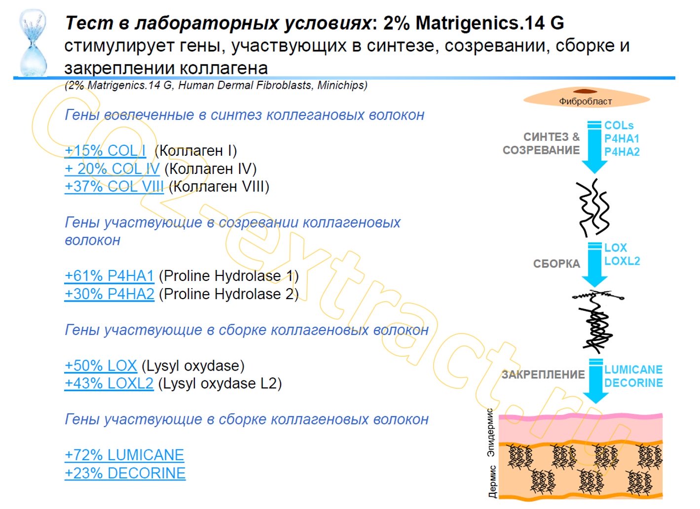 matrigenics