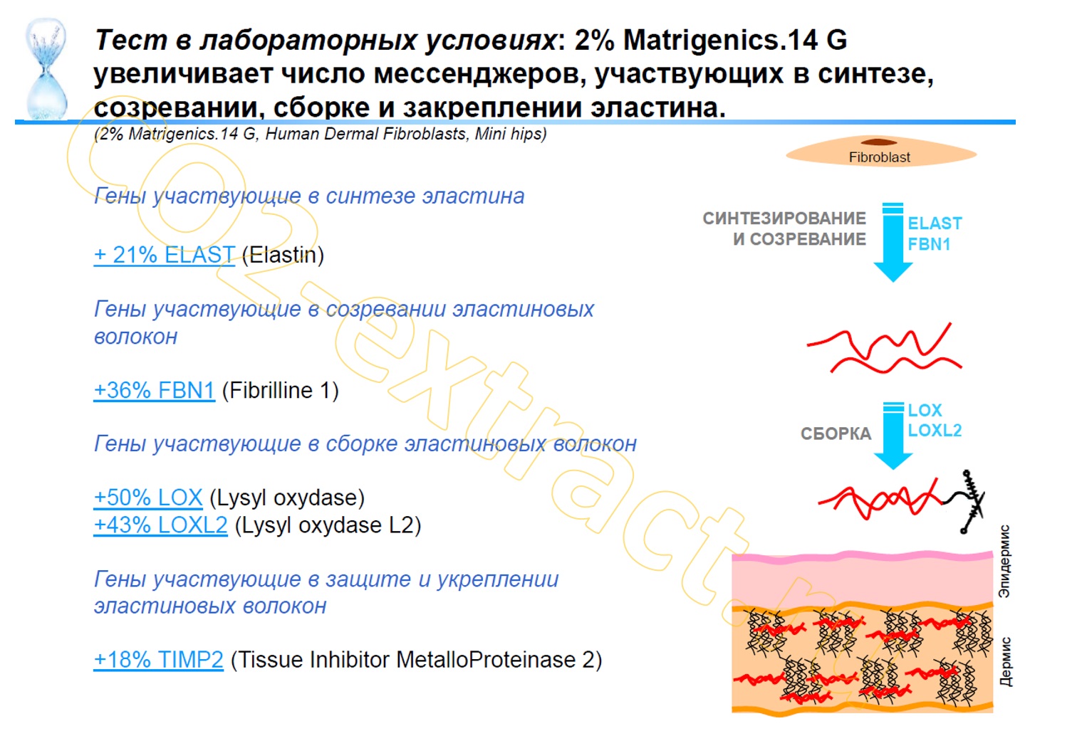 matrigenics