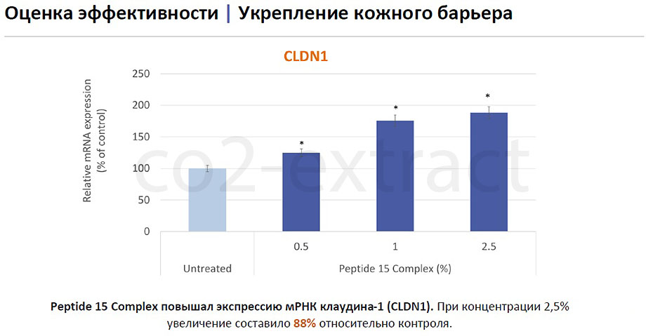 MK 5 2020