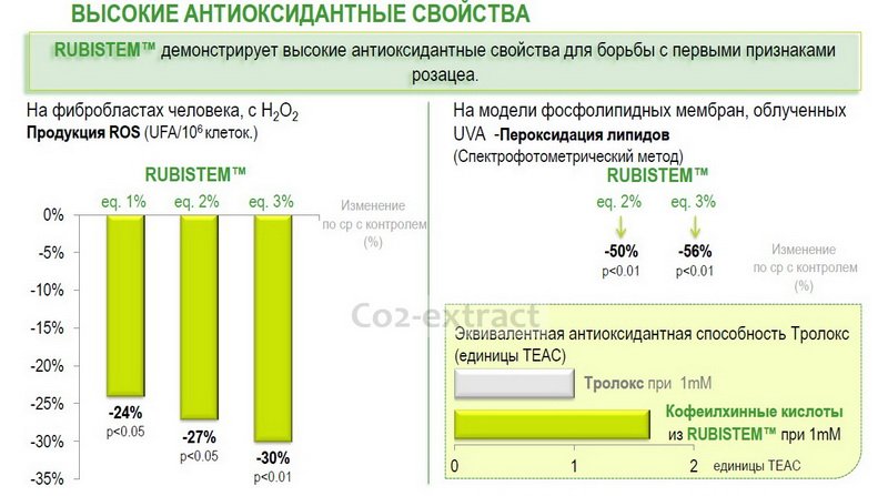 Rubistem ��������
