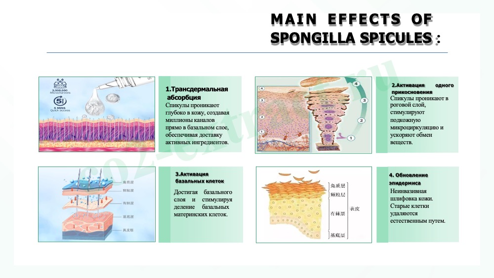 spilul