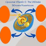 ������� � � ������������� (Ascorbyl Palmitate � ������������� ) ��������������� �����