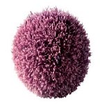 Actiporine 8G (��������� 8G) - ��� ��������� ���������