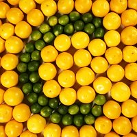 �������� ����������������� (Ascorbyl Tetraisopalmitate) - ������� � ���������������