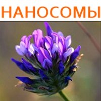 �������� (BAKUCHIOL) � ���������