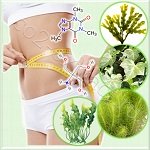 Bio-Slim PF (���-����)