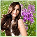 Defenscalp (�����������) - ���������� ��� �������� ���� ������