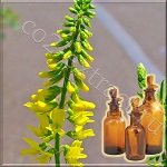 ���������������� CO2 �������� ������� (�������� 6%, ������ ������ 30%, ������������ 1%)