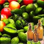 ���������������� CO2 �������� ���� �������� ������� (10% �������, 6% ��������)