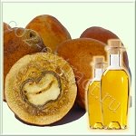 �������� ����� (Mongongo Oil) ����������������, �������� �����, 20 ��