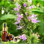 ������ ������� ����� Patchouli Dark Essential Oil