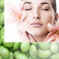 PHOSPHOLIPON� 80H (���������� 80H)