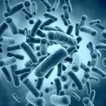 ����� �������������� ������ (Bifida Ferment Lysate), ������