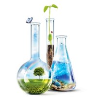 Biosol (������, ������)