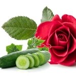 Cucumber & Pink Beach Rose (������ � ������� ���������� ����), ������� (Duellberg Konzentra)
