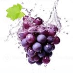 ��������� �������� ��� (Active Juice Grape)