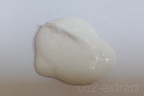 MK 5 2020