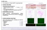 Idealift (��������) Sederma