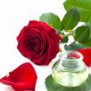���� ��������� (Rosa Damascena) ��������, �������� 100 �