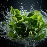 ������� �������� ��� (Active Juice Spinach)