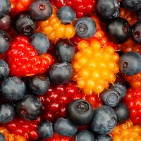 Wild berries - ����� �����