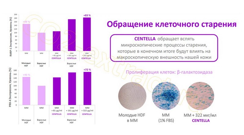 manager3-msk@specialgoods.ru