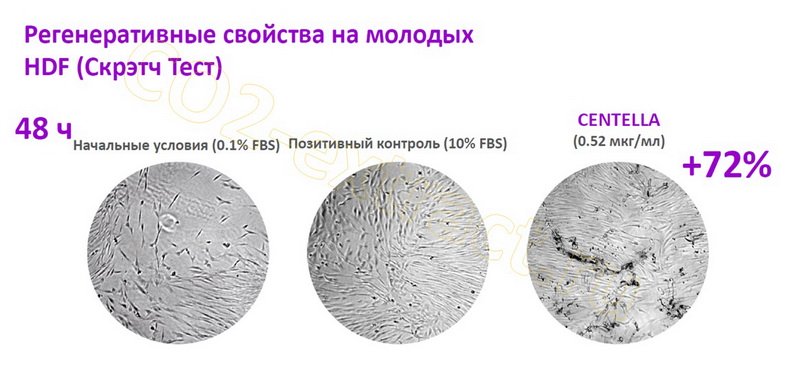 manager3-msk@specialgoods.ru